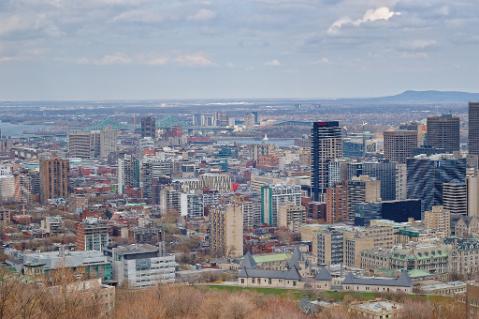 DSC_3973_1