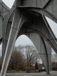 DSC_3984_1